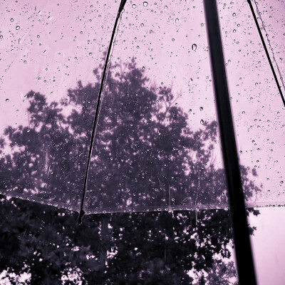 雨は雲の心配事だ ⍤……
©程鑫