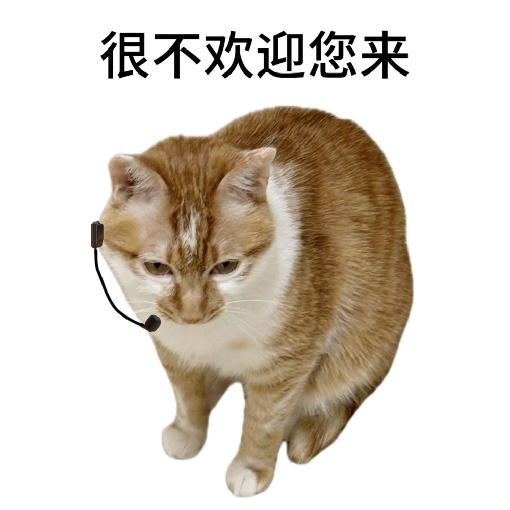 犯倔打工人 小猫表情包