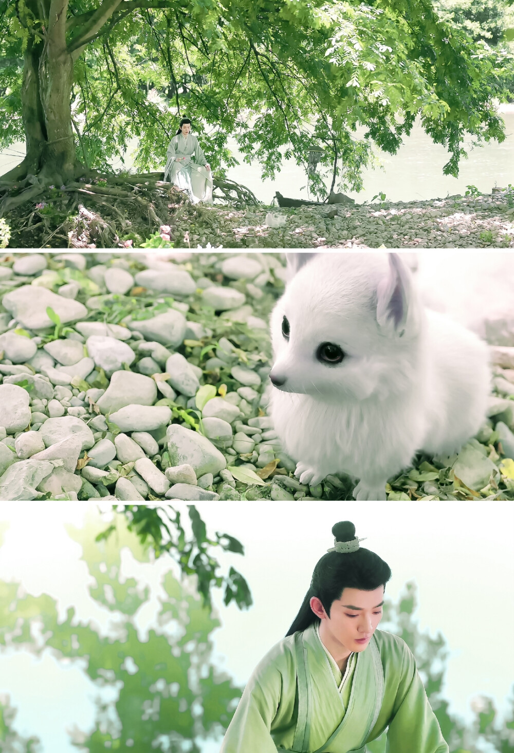 长相思▪邓为
cr.桃乐玢