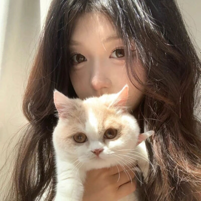 情头