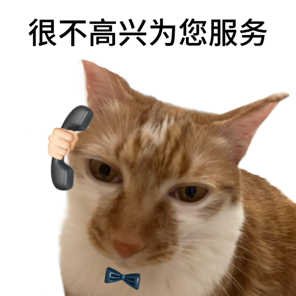 犯倔打工人 小猫表情包