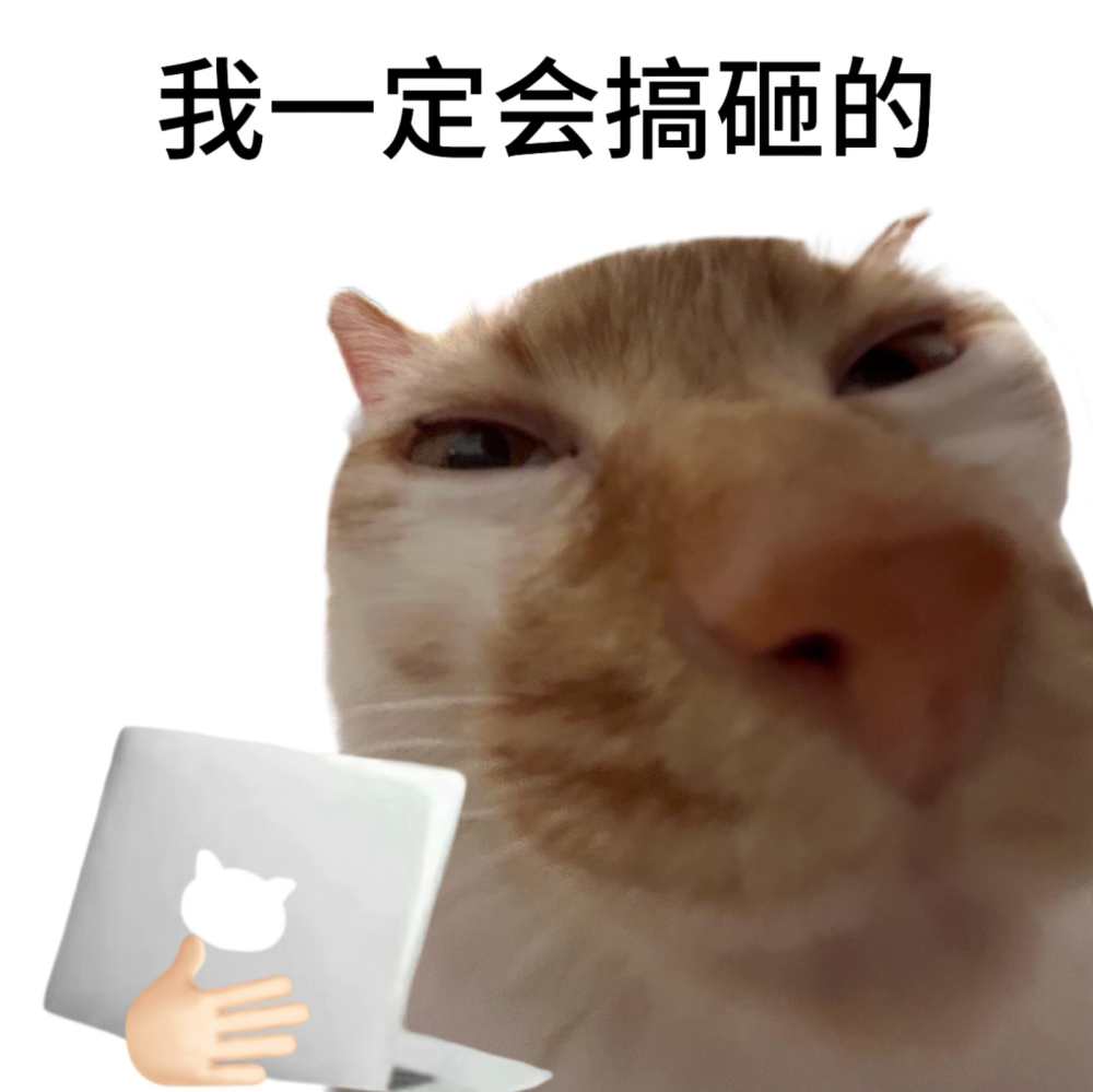 犯倔打工人 小猫表情包