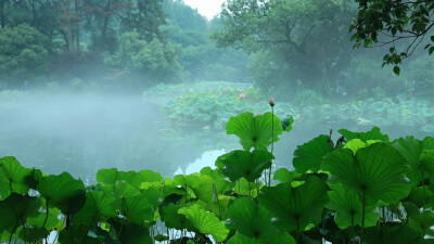 东方美学丨吾生须臾 ​
from浮春郷
＃西湖＃雨景