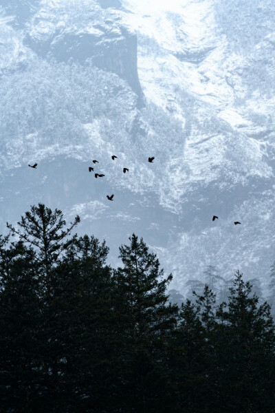 「你当像鸟飞往你的山 」 ​
摄影@千帆Ivan-