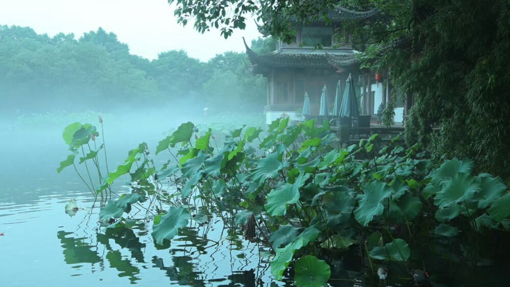 东方美学丨吾生须臾 ​
from浮春郷
＃西湖＃雨景