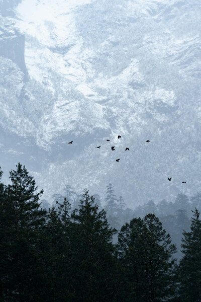 「你当像鸟飞往你的山 」 ​
摄影@千帆Ivan-
