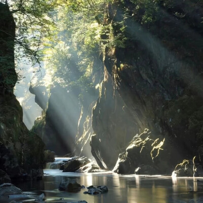 恋杀青山不去，青山未必留人