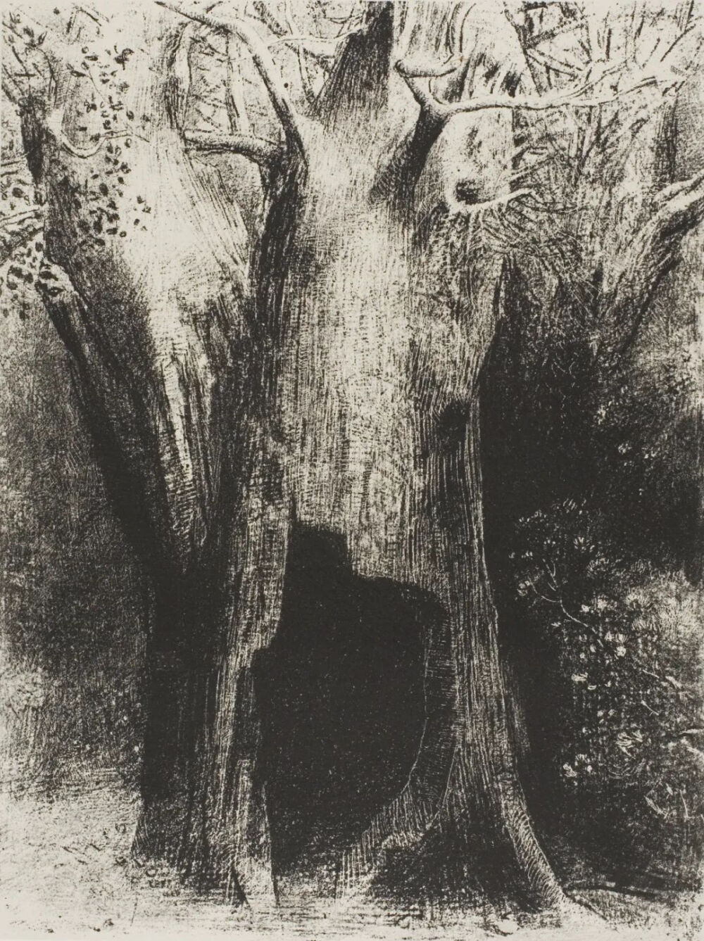 I Plunged into Solitude. I Dwelt in the Tree behind Me,1896,Lithograph in black on light gray China paper laid down on ivory wove paper,30×22.7cm
