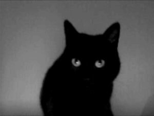 程鑫GIF（不标别用）