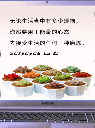 寬恕別人就是善待自己，
凡事斤斤計較不會給自己帶來任何好處；
無法寬恕別人，最吃虧的就是你自己，
因為你無法快樂。
——17120