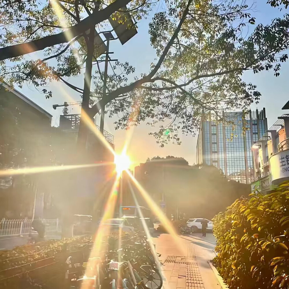 春和景明 多风格 ins 氛围感 背景图 阳光 小众