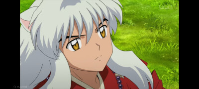 《犬夜叉完结篇》