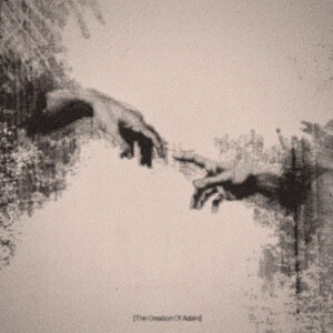 흔적기관（vestigial organ）