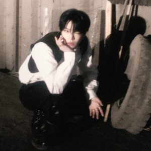 흔적기관（vestigial organ）