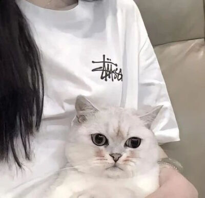 抱猫咪