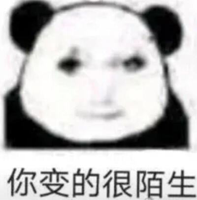 龙图