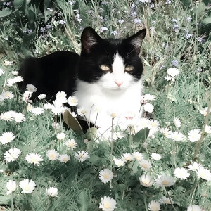 小猫困困的 我也是Z☡zᶻ




朱志鑫