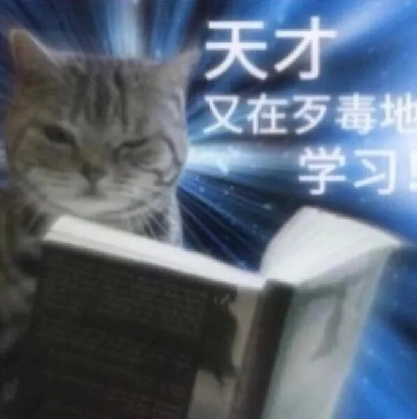 猫猫表情包