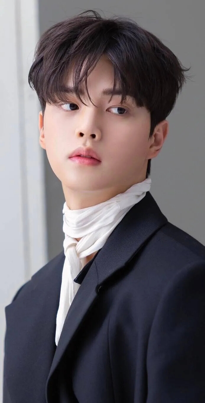 韩国男艺人宋江