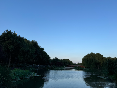 夜晚