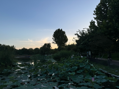 夜晚