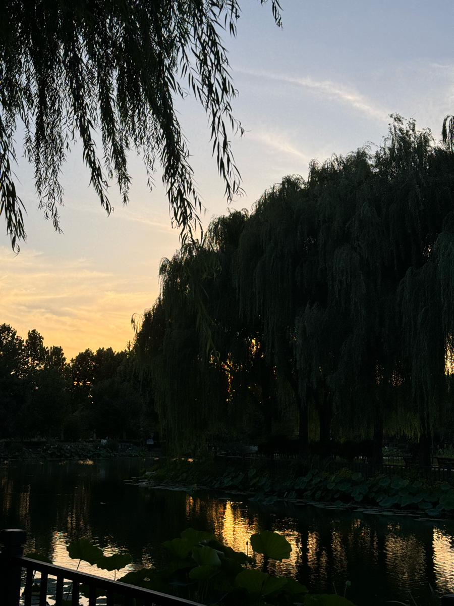 夜晚