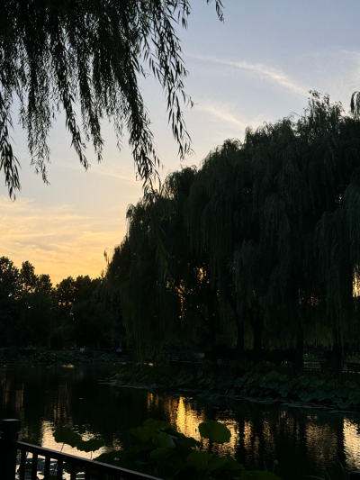 夜晚