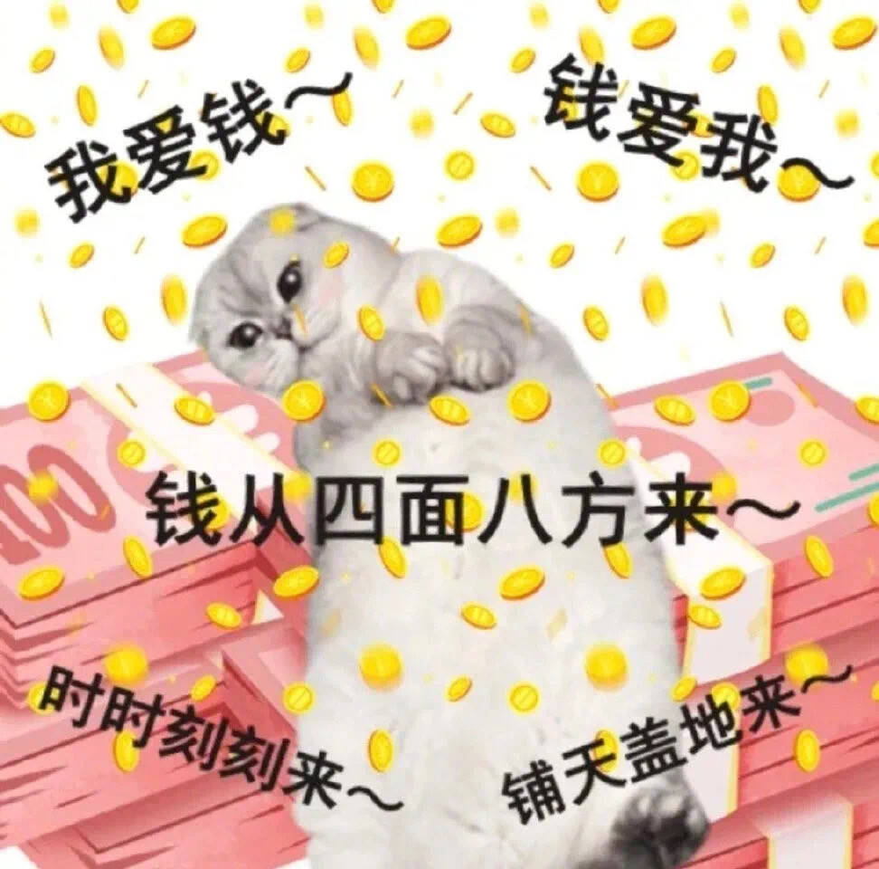财迷猫猫表情包