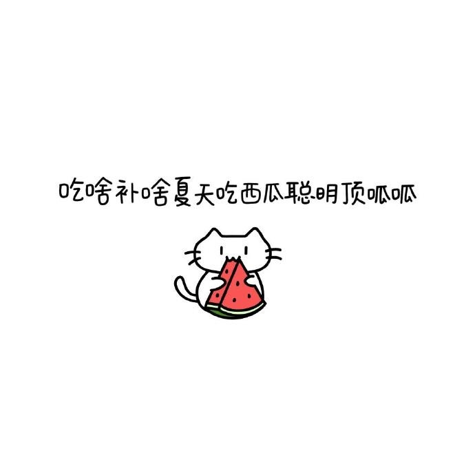 可爱小猫背景头像