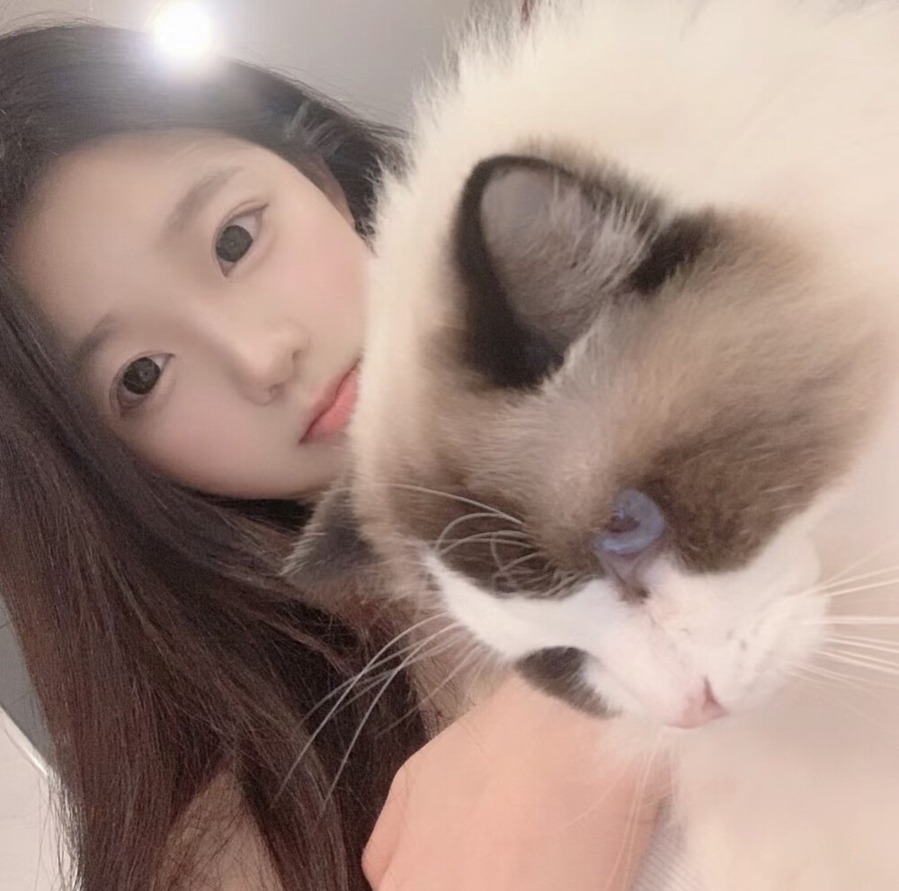 ᗜ ‸ ᗜ - 高清图片，堆糖，美图壁纸兴趣社区