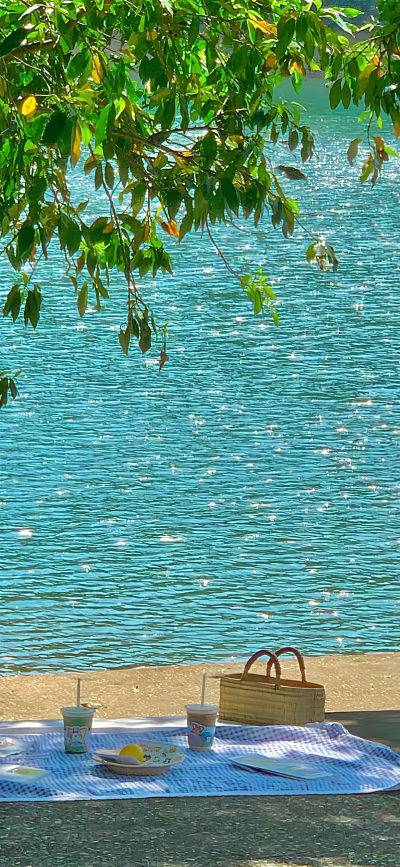 绿色壁纸 夏天壁纸