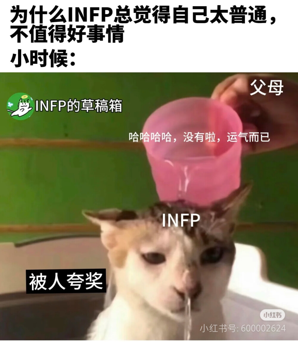 INFP梗图