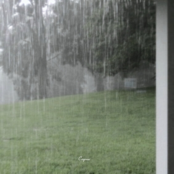 下雨天了怎么办 我好想你