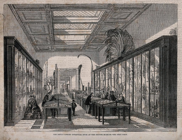 大英博物馆动物学展厅一景，独立展柜内陈列珊瑚
1847年，收藏于Wellcome Library
