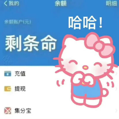 Kitty表情包