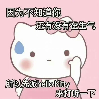 Kitty表情包