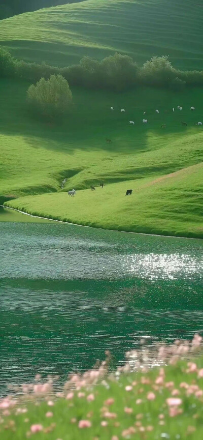 绿色质感风景壁纸，聊天背景，ins背景图，来自网络侵删