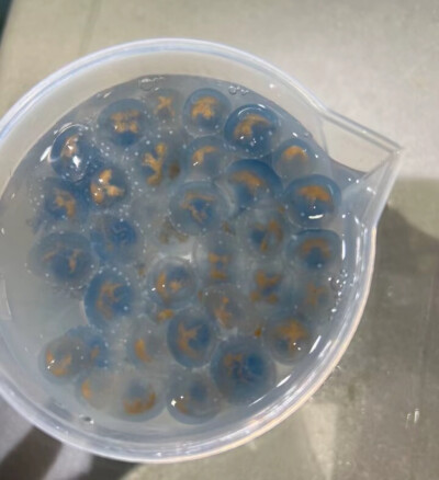 超好搭配的ins背景图