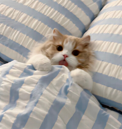 超好搭配的ins背景图