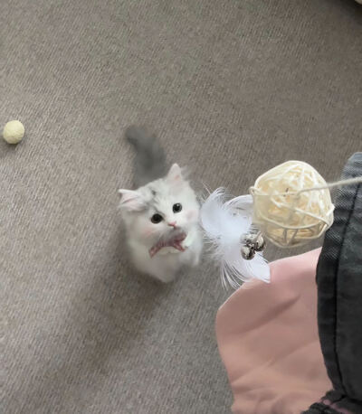 超好搭配的ins背景图