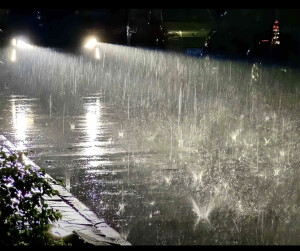 雨落在地上变成了蝴蝶