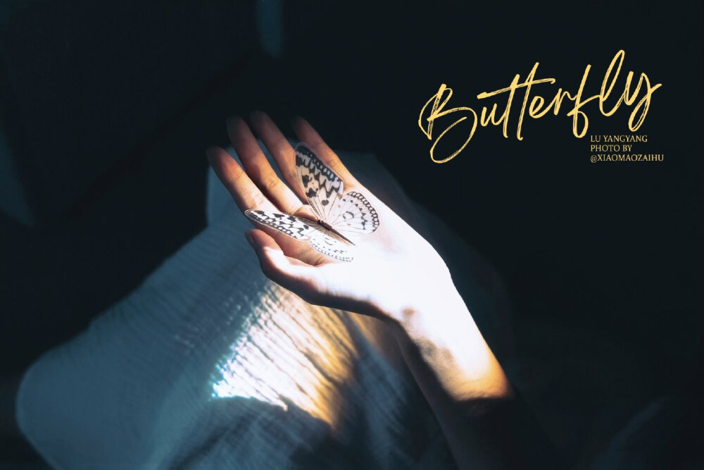 壁纸▪卢洋洋
cr.小猫在呼