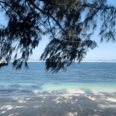 ꒰ఎ(^ . ֑ .^)໒꒱