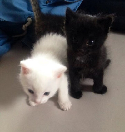 超好搭配的ins背景图