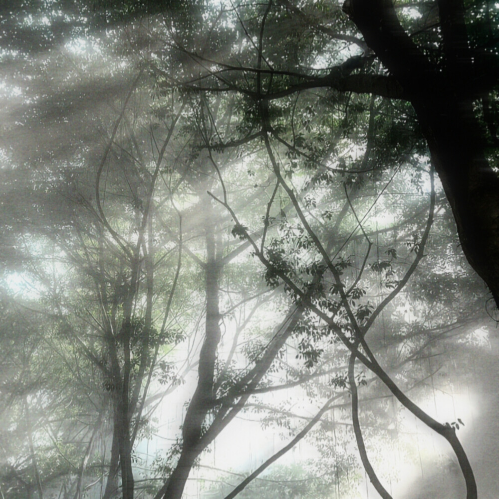 公交站台下不停的雨，耳机线缠绕着无法解开的结，路灯掩饰不住的阴影拖着我疯狂的Nostalgia .