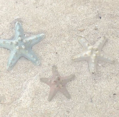 超好搭配的ins背景图