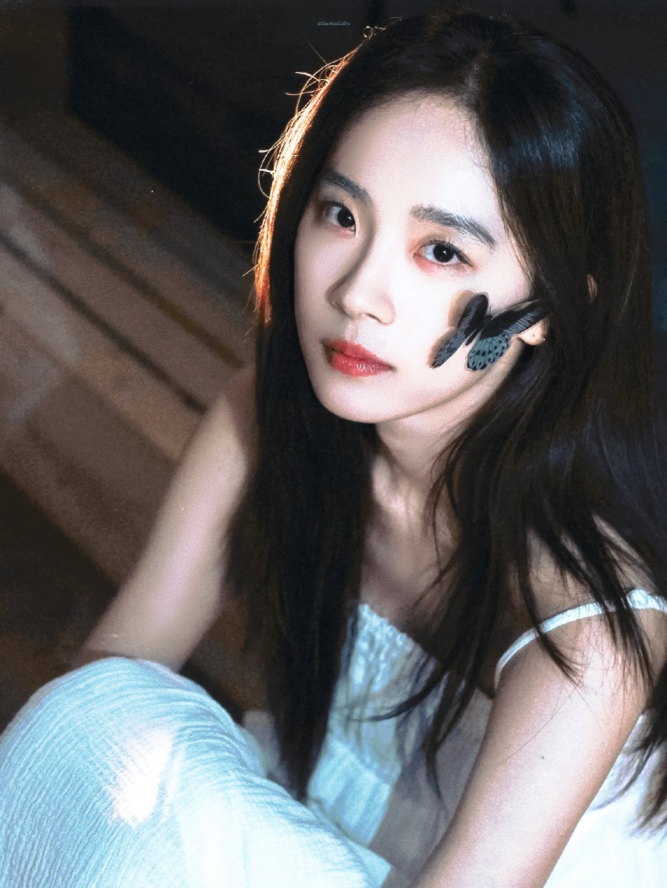 壁纸▪卢洋洋
cr.小猫在呼