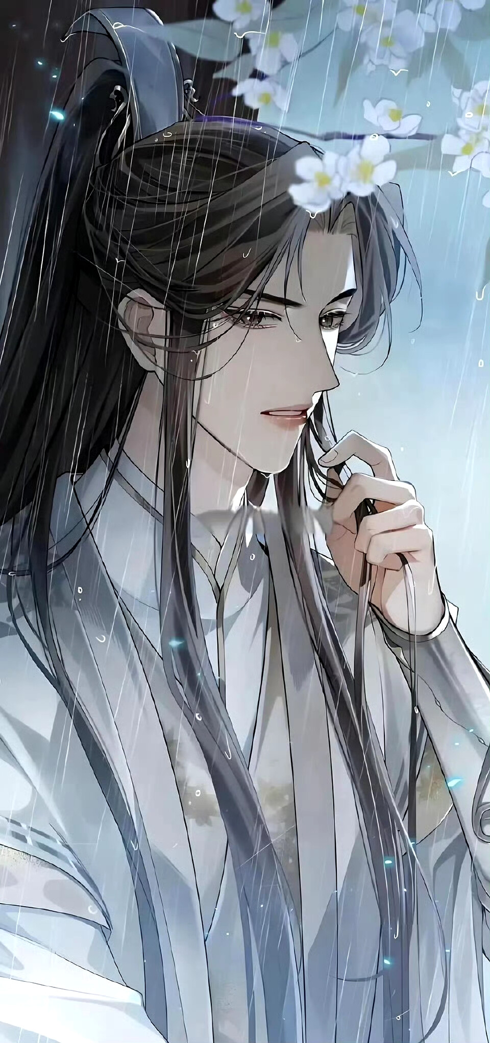 二哈和他的白猫师尊