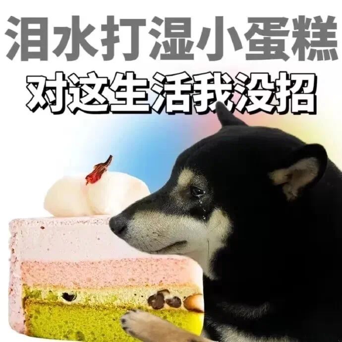 表情包