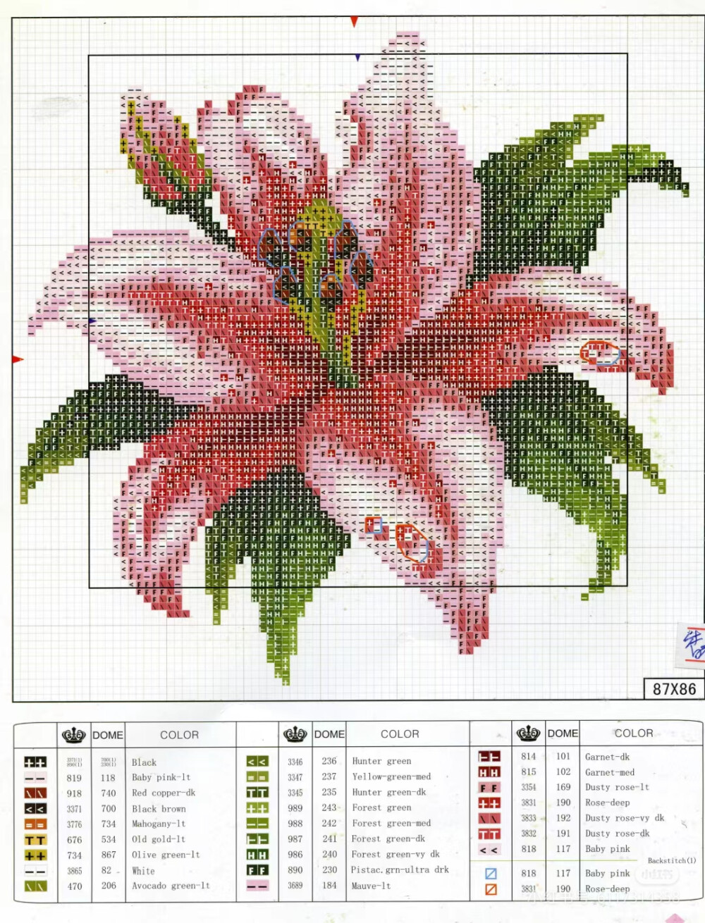 百合花